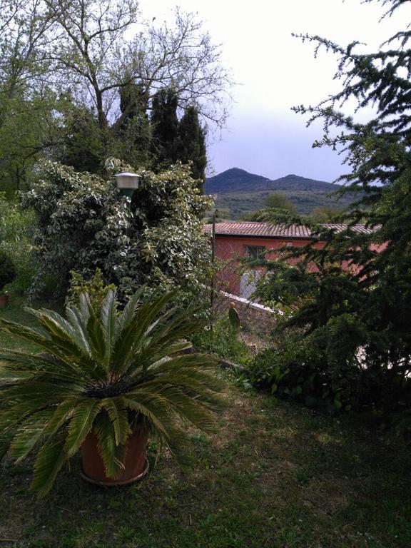 Agriturismo Usurtala Orani Kültér fotó