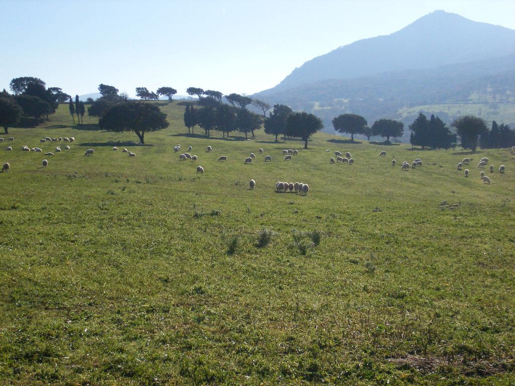 Agriturismo Usurtala Orani Kültér fotó